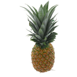 ANANAS ANADOU 8PCS